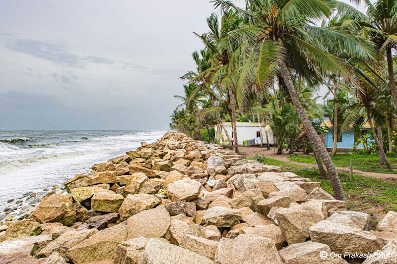 Living on the coast of Arabian Sea in Alappuzha district, Kerala helps boost mental health